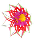 3d Lotus Flower 54  Kite Single Line Outdoor Toy Flying For Kids Sport Disconti