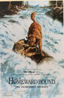 Homeward Bound Movie Poster Incredible Journey 1993 Walt Disney Pictures  0018