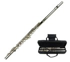 New Student Flute With Case In Black Red Blue Green Silver Pink Purple