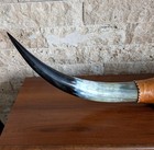 Mounted Steer Longhorn Cow Bull Polished Horns 4  2 5  Tip To Tip On 11 5  Base