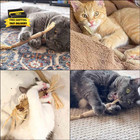 4 Pack Natural Silvervine Sticks For Cats - Chew Toys For Kittens Teeth Cleaning