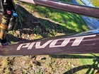 Pivot Cycles Shuttle Amp d Team Xx Mountain Bike Medium Retail  14 500
