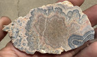 Rare Pastel Flowering Tube Onyx Stabilized Slab