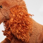 Ganz Webkinz Irish Setter Dog Plush Stuffed Animal Hm177 Retired No Code