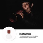 10 Pcs Saxophone Reeds Saxophone Mouthpiece Brass Mouthpiece Clarinet Reeds
