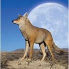 Flambeau Outdoors 5985ms-1 Lone Howler Coyote Decoy  One Size