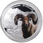 Bighorn Sheep  30 2 Oz  9999 Silver  30 Colorized Proof Coin 2020 Canada Coa