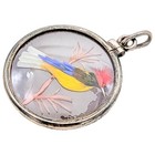 Antique Victorian Real Bird Feather Pendant Cardinal Flamingo Double Sided
