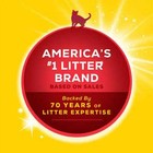 2 Pack Purina Tidy Cats 24 7 Clumping Cat Litter  Low Dust  Deodorizing
