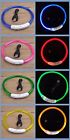Pet Led Light-up Glow-in-the-dark Usb Rechargeable Collar Dog Night Safety Flash