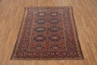 Pre-1900 Antique Vegetable Dye Rug 5x7 Ft Traditional Style All-over Pattern Rug