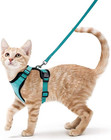 Cat Harness And Leash For Walking  Escape Proof Soft Adjustable Vest Harnesses F