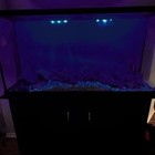 Aquarium 65 Gallon - Complete Setup  