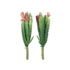 2 Pcs Mini Artificial Succulents Plants Unpotted Faux Cactus Fake Succulent 