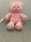 Plush Doll Figure 16  Pink Soft Cuddles Teddy Bear Build A Bear Toy