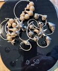 Ancient Gold   Electrum Earrings   Late Roman  Byzantine  Early Islamic 5 ounces