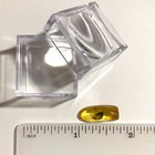 Baltic Amber With Prehistoric Spider Inclusion With 4x Magnifying Case And Coa