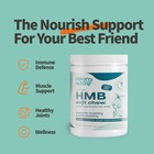 Noora Dog Hmb Soft Chews Muscle   Joint Support Supplement For Dogs