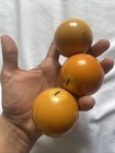 Vintage Bakelite Rich Butterscotch Billiard Pool Balls Set Of 4 Orange   Yellow