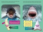 Brand New Who Would Win  Killer Whale Vs  Great White Shark By Jerry Pallotta