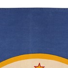 Vintage Minnesota State Flag Cloth Usa American Textile Art