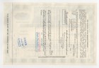 The National Sugar Refining Company Stock Certificate