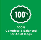 Dry Dog Food For Adult Dogs High Protein  Real Chicken  Low Fat  18 5 Lbs