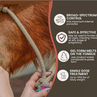 6 Pack Duramectin Equine Wormer Paste For Horses Exp July 2027