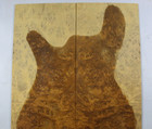 5a Figure Les Paul Guitar Top Birdseye Golden Phoebe Wood Burl Luthier Supply