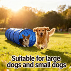 Dog Agility Tunnel With Carry Bag And Ground Spikes  Foldable 10-foot Tunnel For