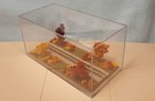N Scale-single Track 8 -display Case- fall Foliage  Scene  For Any N Trains
