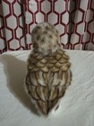 Handcrafted Borrowing Owl No 5203 Lifelike Owlet Plush Toy 10 Inch By Hansa
