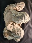 Ancient Gupta Fragmentary Sculpture Of A Diety  4-8th Century