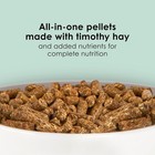 Kaytee Timothy Complete Rabbit Food  Made With Timothy Hay  High In Fiber  9lb