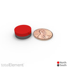 5 8 X 1 4 Inch Strong Neodymium Rare Earth Disc Magnets N52  10 Pack 