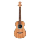 Cordoba Mini Ii Santa Fe Travel Nylon Guitar Web Shop Only