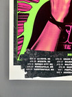 Sum 41 Final Tour Poster 2024 Luke Marsh 18x24 Show Edition Sold Out Original