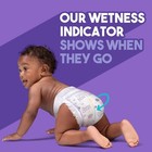 Luvs Disposable Baby Diapers - Pro Level - Size 1 - 252 Count
