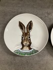 Rachel Kozlowski Wet Elm Dapper Rabbit Plate Set Of 4