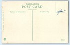 Barbados Postcard View Of A Country Residence C1910 Antique Unposted