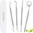 Professional Dental Tools Kit Teeth Cleaning Tartar Scraper Personal Pet Use