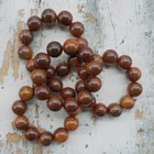 11 Beads Dragon Blood Wood Bracelet Raja Kayu Agathis Alba 22 Mm King Of Wood