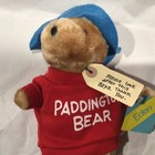 Rare 1975 1981 Eden Paddington Bear Darkest Peru To London England 10 Inch Vtg