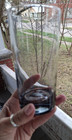 Rare Find Vintage Mcm Smokey Gray Glassware Cocktail Barware Water Tall  10 