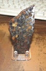 67 Gm Sericho Pallasite Meteorite Slice From Kenya Stand Olivine  15  Stand