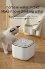 New Automatic Pet Water Fountain Dispenser Cat Dog Drinking Bowl 3l Capacity
