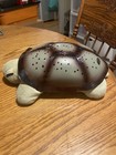 Cloud B Turtle Night Light Sky Projector  damaged Shell 