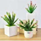3 Pieces Artificial Cactus Plants Outdoor mini Fake Succulents plastic Plant