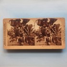 Stereoview Card 3d Real Photo C1880 Palm Beach Fla America Banana Tree   Fruit