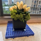 Nestable Lightweight Waterproof Plastic Pallets For Storage  set Of 2 